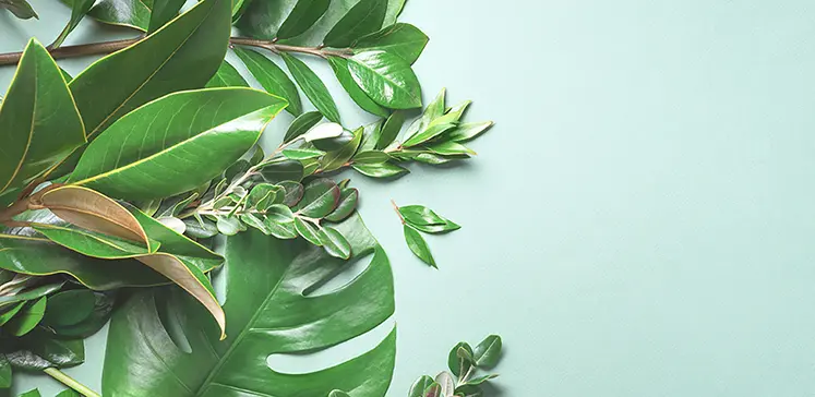 無料サポート 6